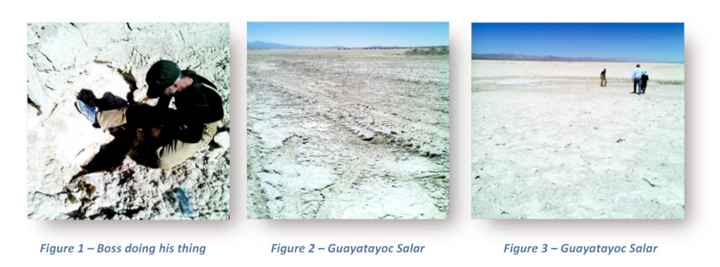 ais-resources-guayotayoc-salar-lithium-project