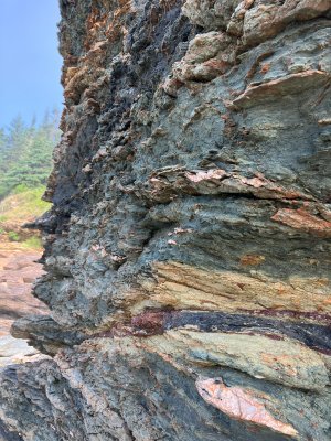 Outcrop exposure at Frenchmans Creek