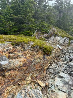 Mineralization at Pocologan
