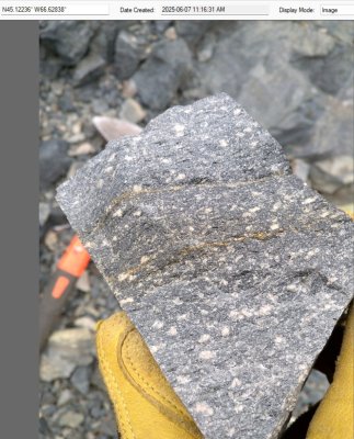 Porphyritic texture with sulphides at Saint John